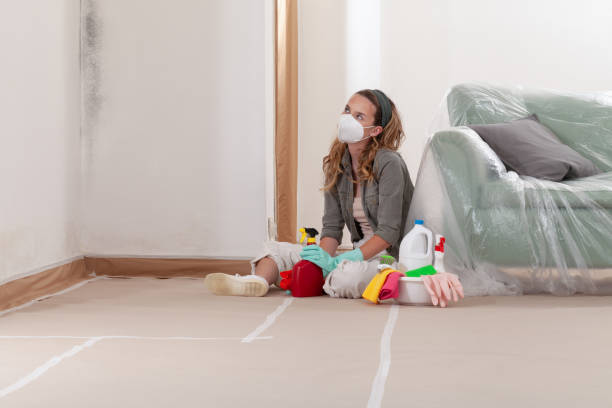 Reliable Mold Remediation contractor in Benton City, WA by 24 Hour Mold Removal